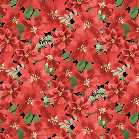Cardinal Celebration - Packed Poinsettias - Black