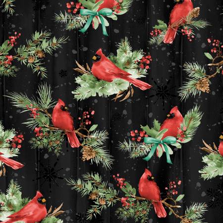 Cardinal Celebration - Cardinals Allover - Black