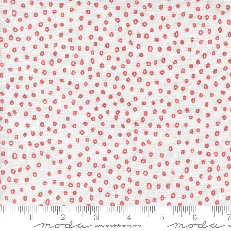 Botany - Seeds - Paper