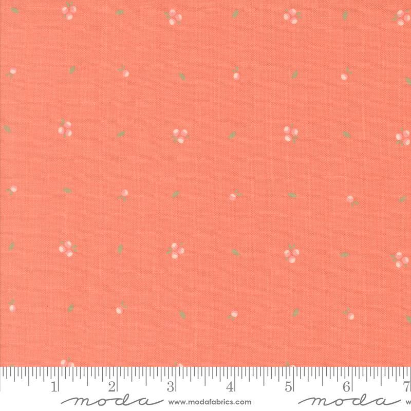 Abloom - Little Sprout - Coral