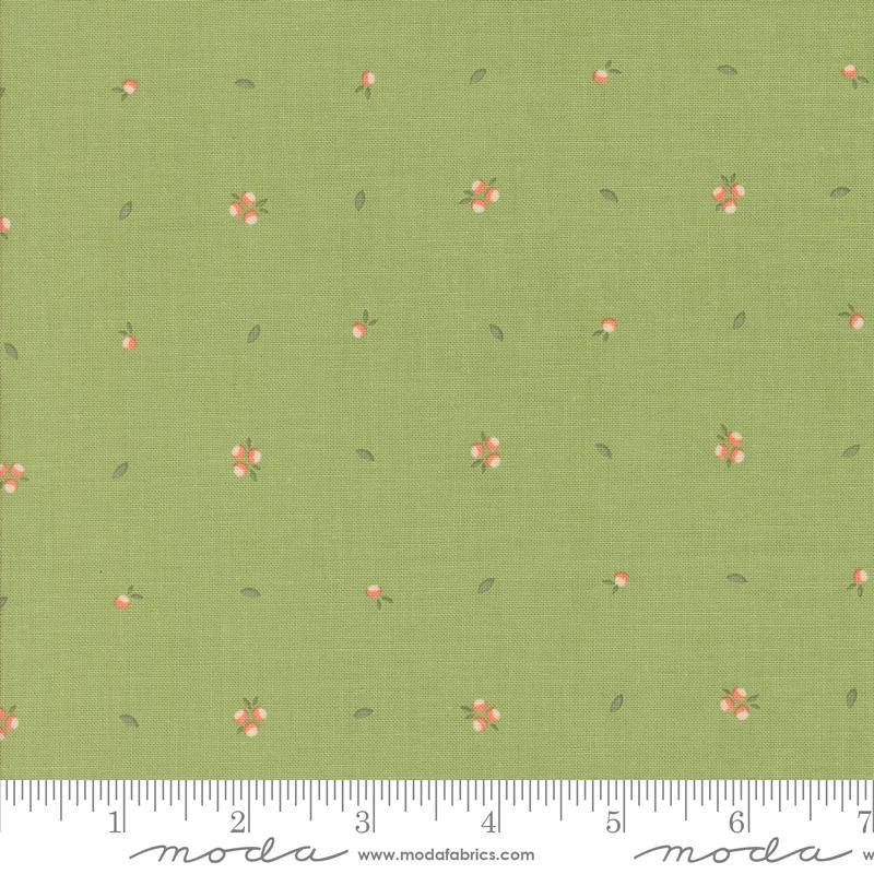 Abloom - Little Sprout - Cucumber