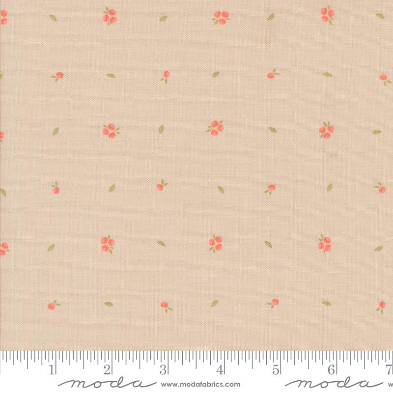 Abloom - Little Sprout - Stone