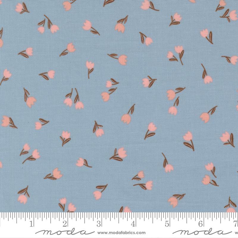 Blossoms And Blooms - Tulips - Sky