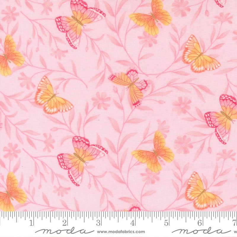 Kindness - Butterflies - Blush