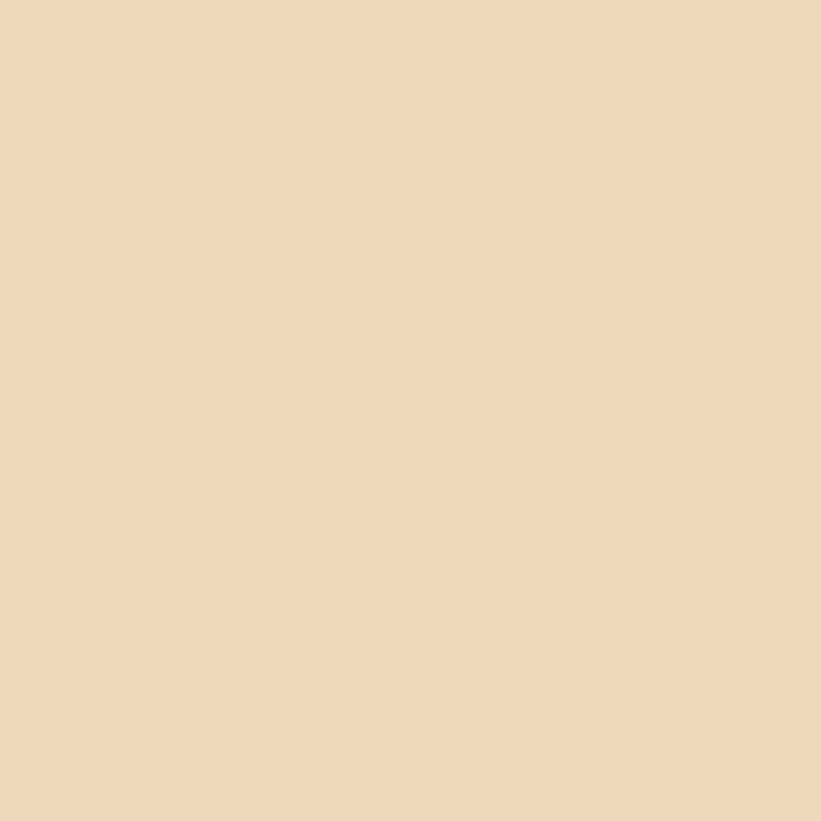 Colorworks Premium Solids - Biscuit