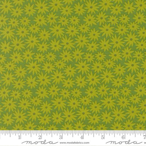 Scenery - Sedum - Limeade