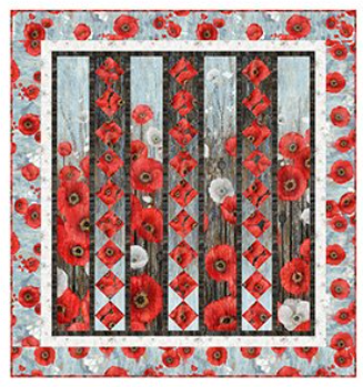 Shadow Play Quilt Kit