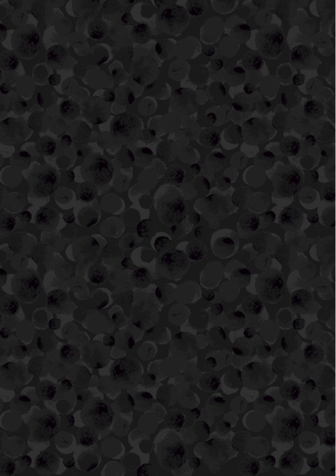 Lewis and Irene 108" Wide Width - Bumbleberries - Black