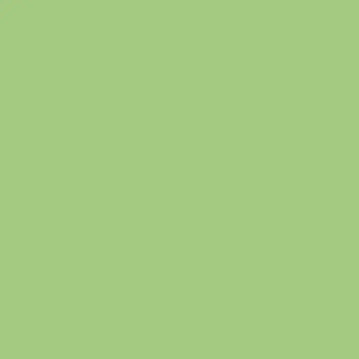 Solid Flannel Fabric - Peppermint