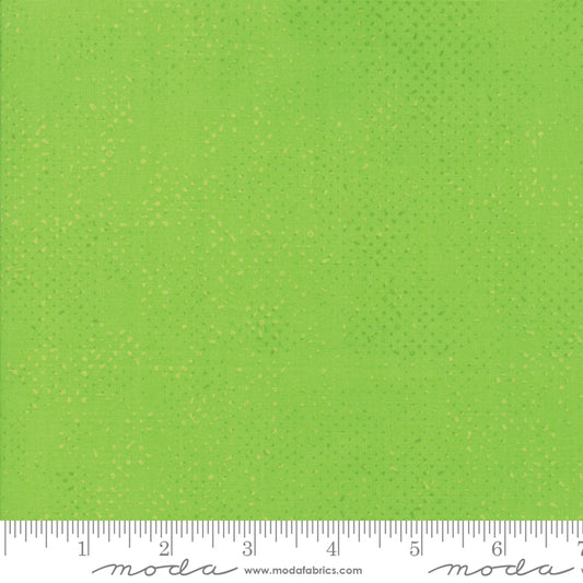 Spotted - Lime