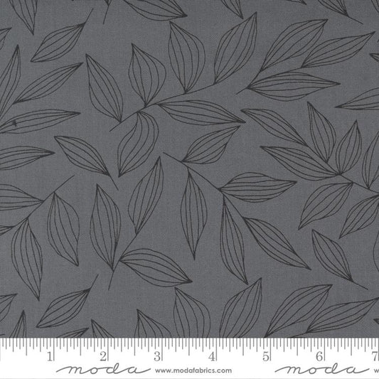 Create - Leaves Blender - Graphite