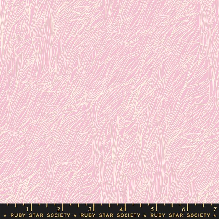 Firefly - Whisper Blender - Peony