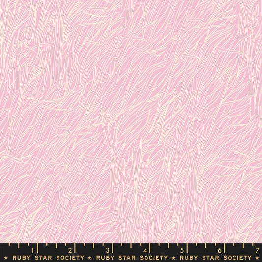 Firefly - Whisper Blender - Peony