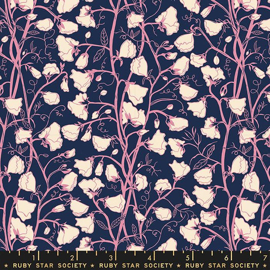 Verbena - Sweet Peas - Navy
