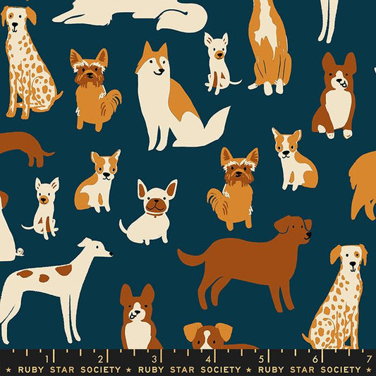 Dog Park - Dog Medley - Teal Navy