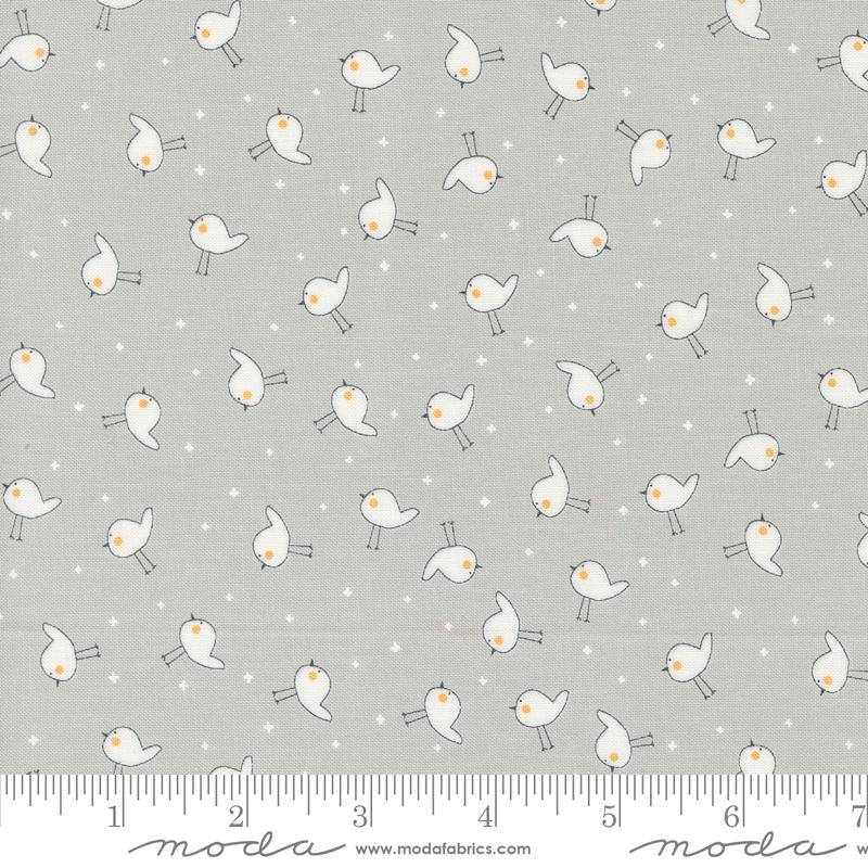 Shine - Little Birdie - Stormy