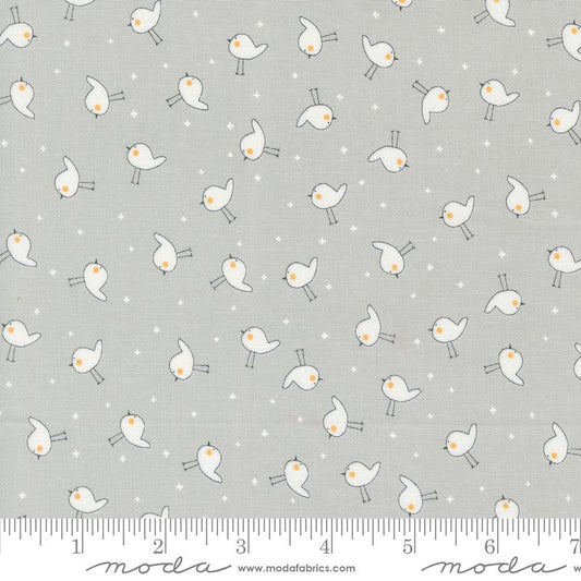 Shine - Little Birdie - Stormy