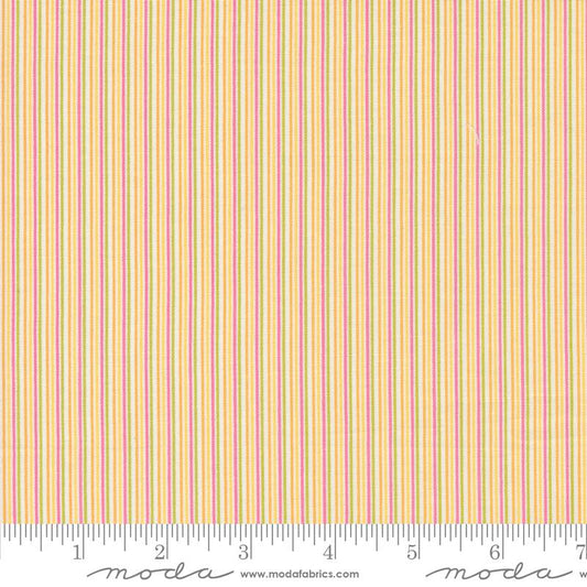 Shine - Stripe - Multi