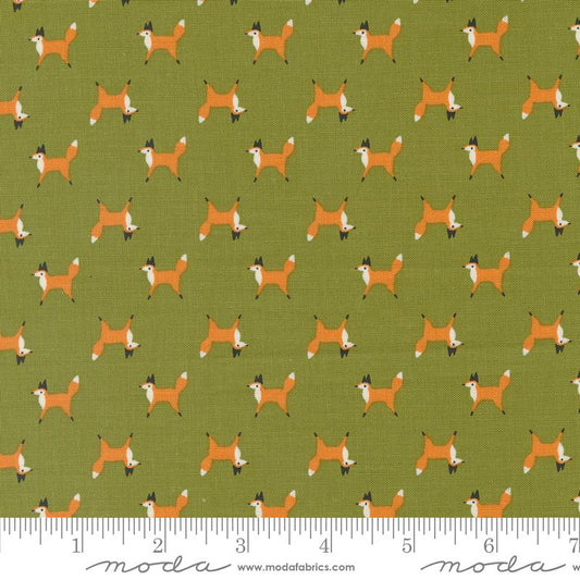 Woodland Wonder - Fox Trot - Fern