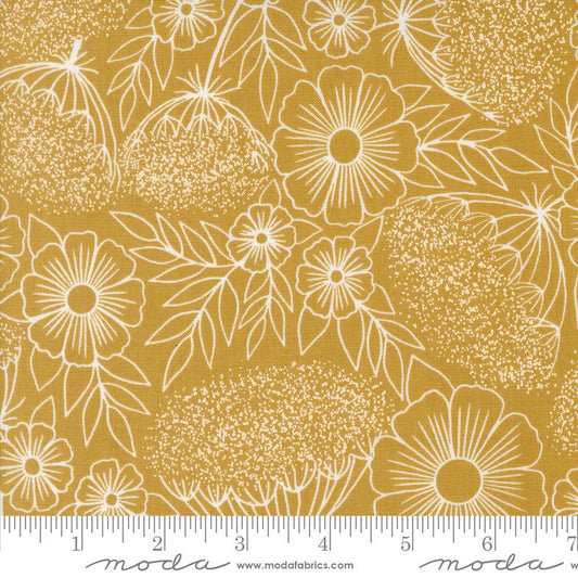 Field of Flowers - Queen Anne's Lace - Goldenrod