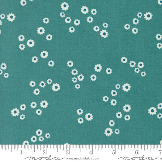 Field of Flowers - Chamomile Blender - Turquoise
