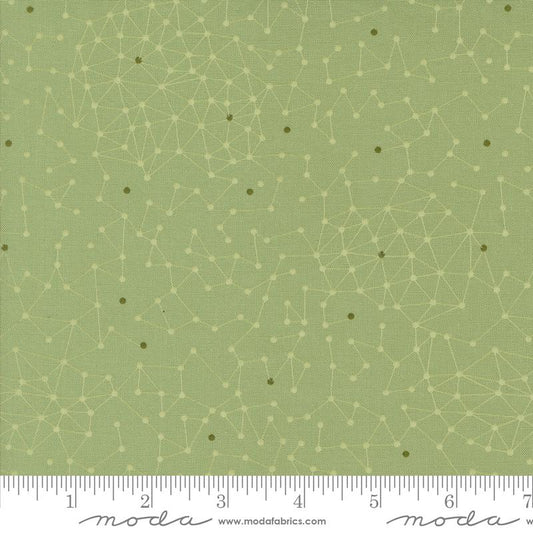 Olive You - Geometrics - Sage