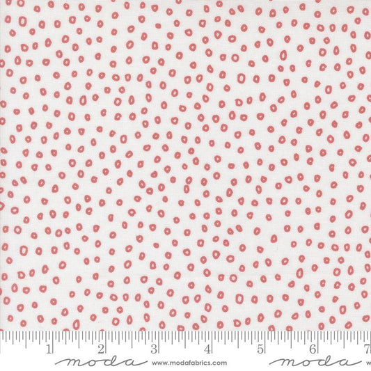 Botany - Seeds - Paper