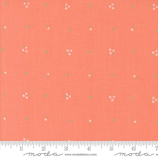 Abloom - Little Sprout - Coral