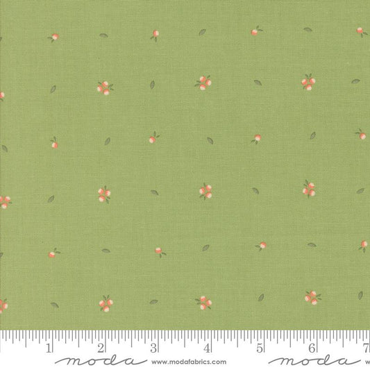 Abloom - Little Sprout - Cucumber