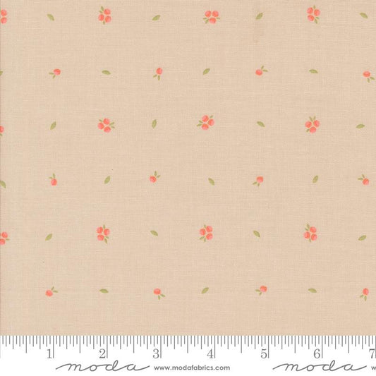 Abloom - Little Sprout - Stone
