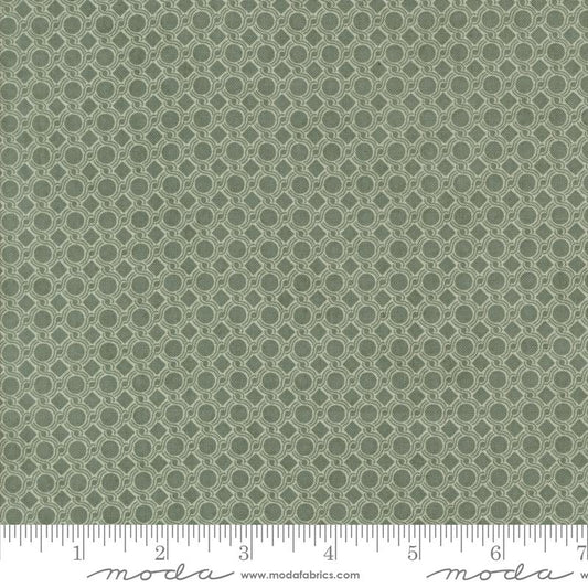Acorn Hollow - Geometric Dot - Eucalyptus