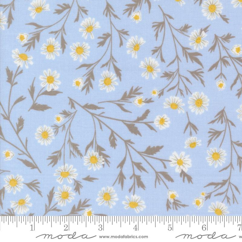 Sun Drenched - Wild Daisy Chain - Sky