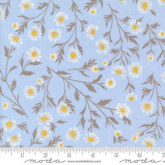Sun Drenched - Wild Daisy Chain - Sky