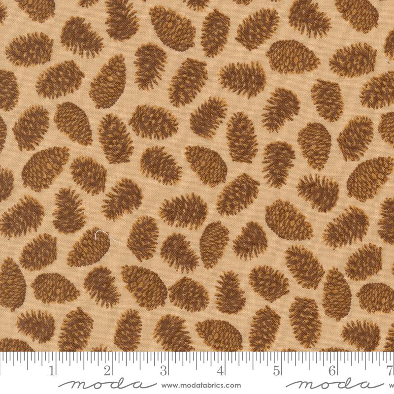 Autumn Forest - Pinecones - Sand