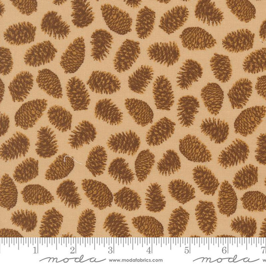 Autumn Forest - Pinecones - Sand