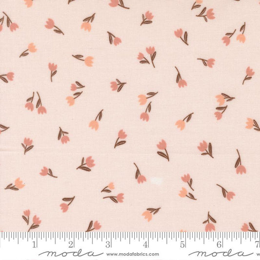 Blossoms And Blooms - Tulips - Blush
