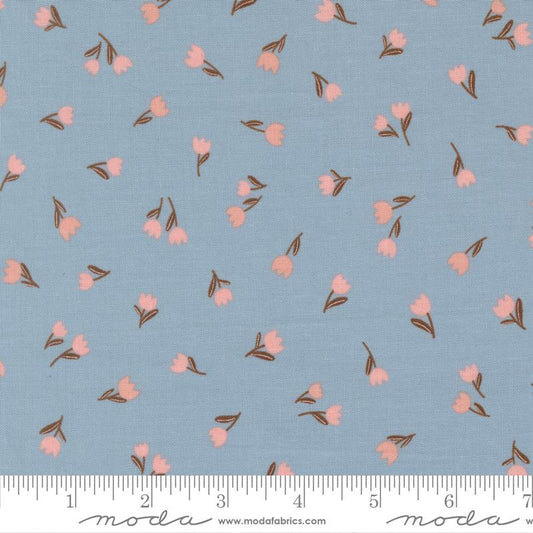 Blossoms And Blooms - Tulips - Sky