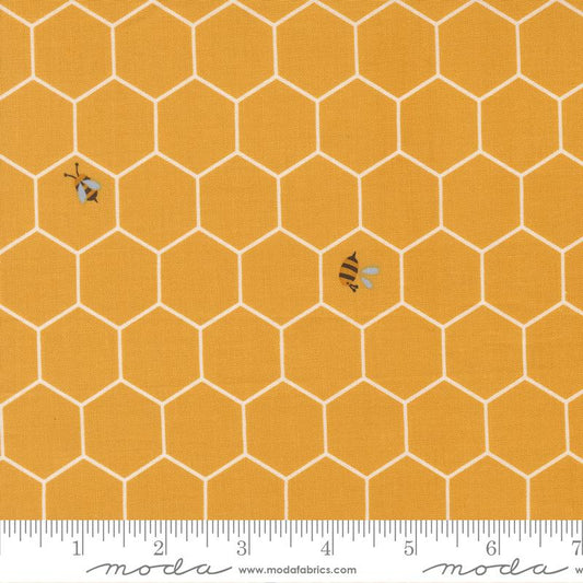 Blossoms And Blooms - Bees - Sunshine