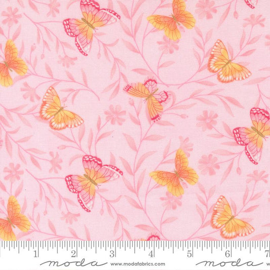 Kindness - Butterflies - Blush