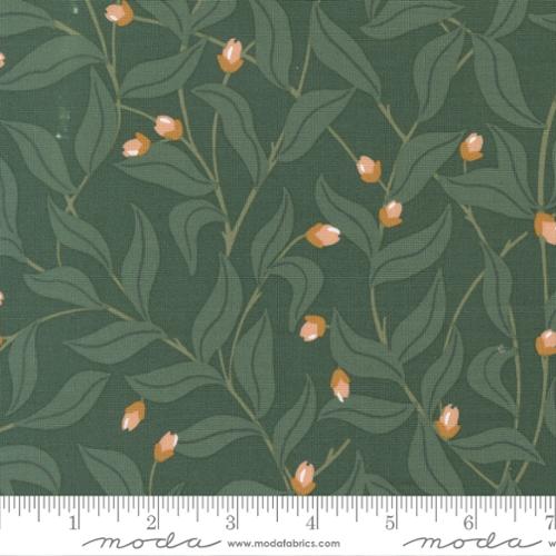 Peachy - Berry Good - Spruce
