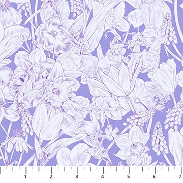Rosa - Garden - Lilac