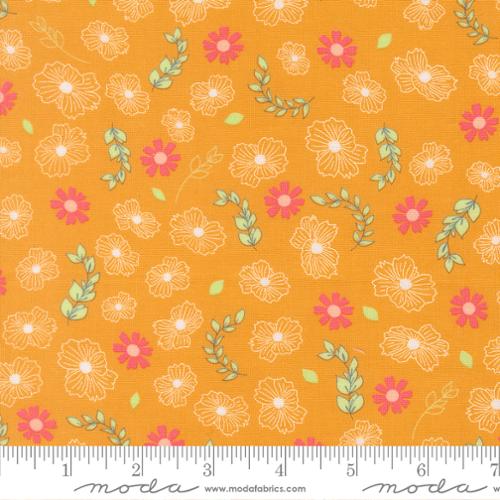 Honeyed Horizon - Petal Grooves - Honey