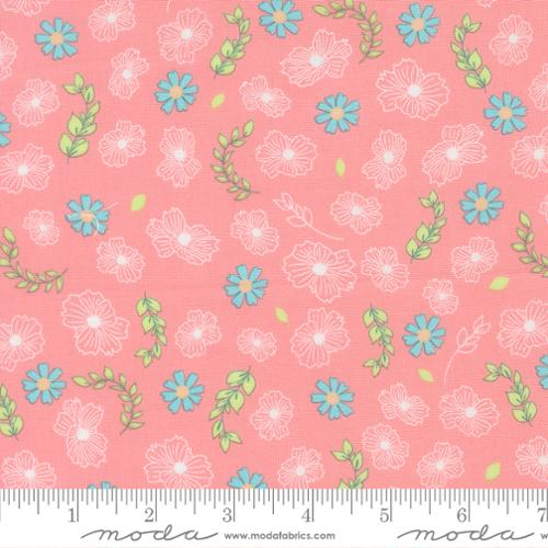 Honeyed Horizon - Petal Grooves - Blush