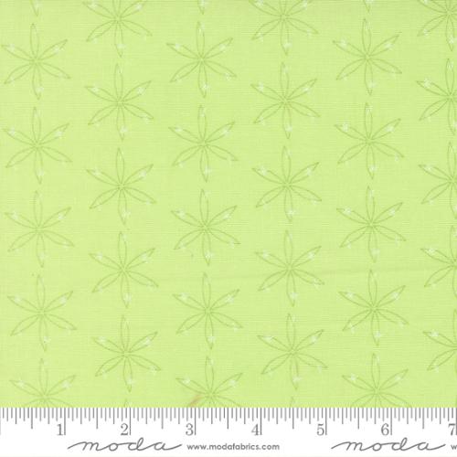 Honeyed Horizon - Star Speck Blender - Honeydew