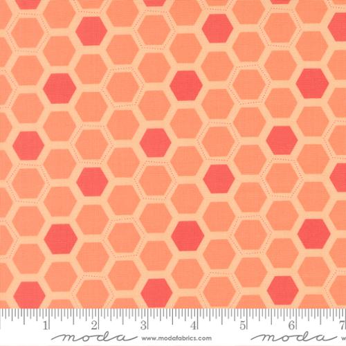 Honeyed Horizon - Box Hex - Guava