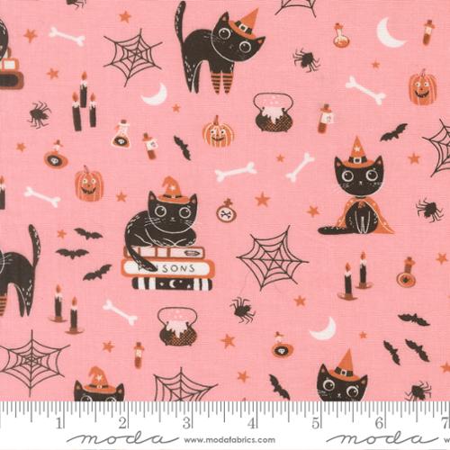 Purrs and Boos - Cats - Candy