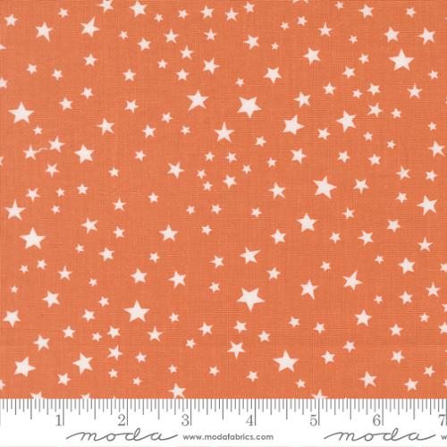 Purrs and Boos - Stars - Pumpkin