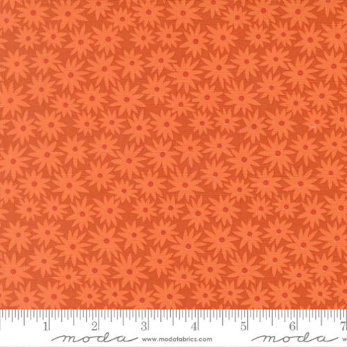 Scenery - Sedum - Yam