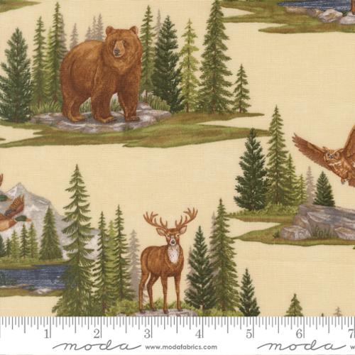 Northwoods Lodge - Landscape - Natural
