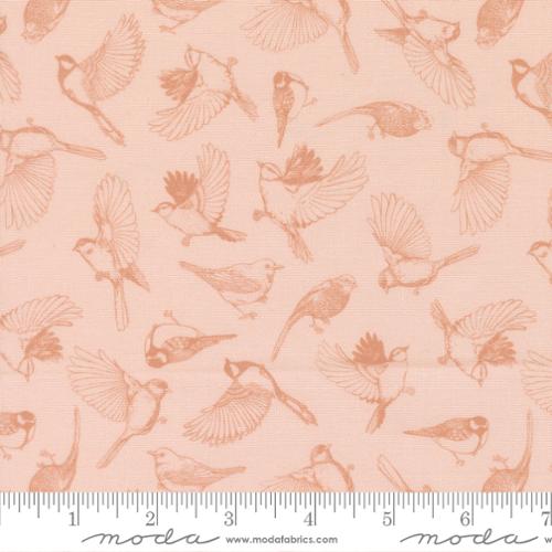 Feather and Forest Bloom - Flock of Feathers - Petal